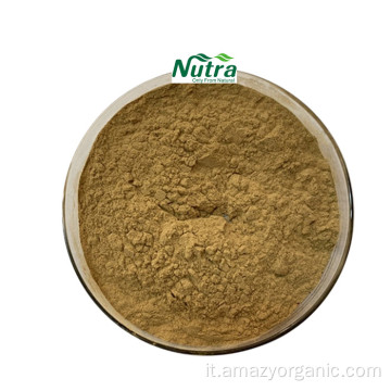 Aralosidi in polvere di estratto organico naturale di Aralia Elata 40%